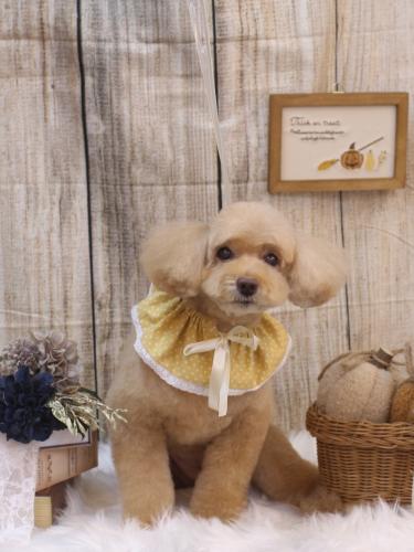 20241010モンチちゃん